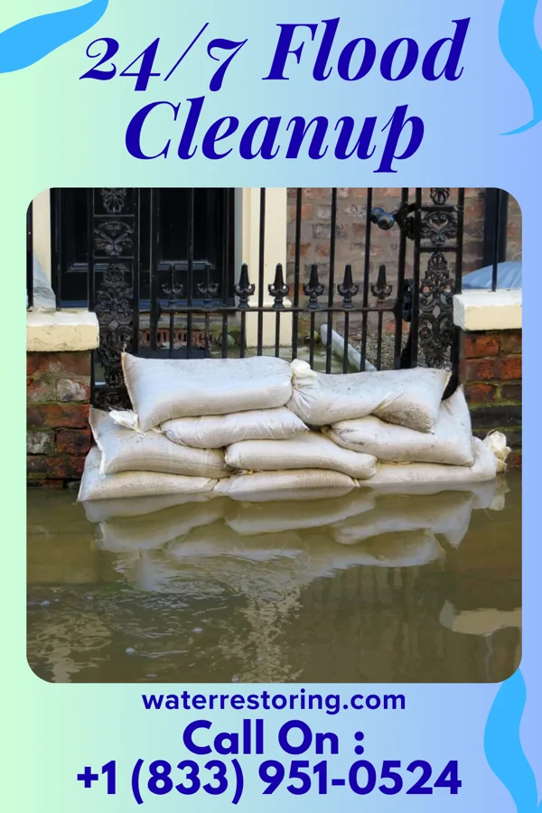 24/7 Flood Cleanup in Diamond, IL