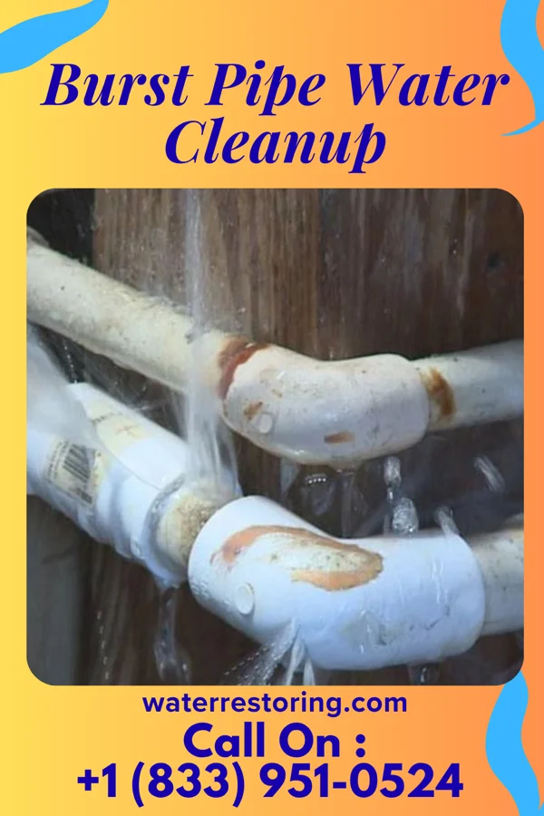 Burst Pipe Water Cleanup in Diamond, IL