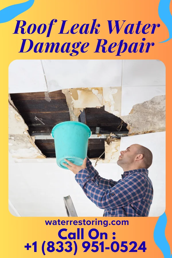 Roof Leak Water Damage Repair in Diamond, IL